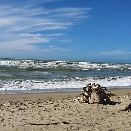 Domusauroom, Relax Nel Cuore Della Versilia - Pet Friendly Апартаменты *