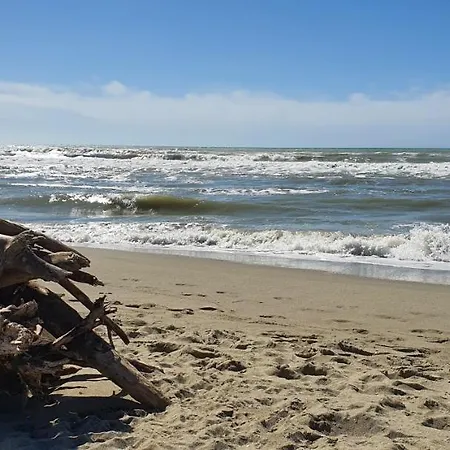 Apartment Domusauroom, Relax Nel Cuore Della Versilia - Pet Friendly Viareggio