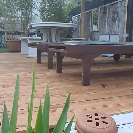 Domusauroom, Relax Nel Cuore Della Versilia - Pet Friendly Apartment *